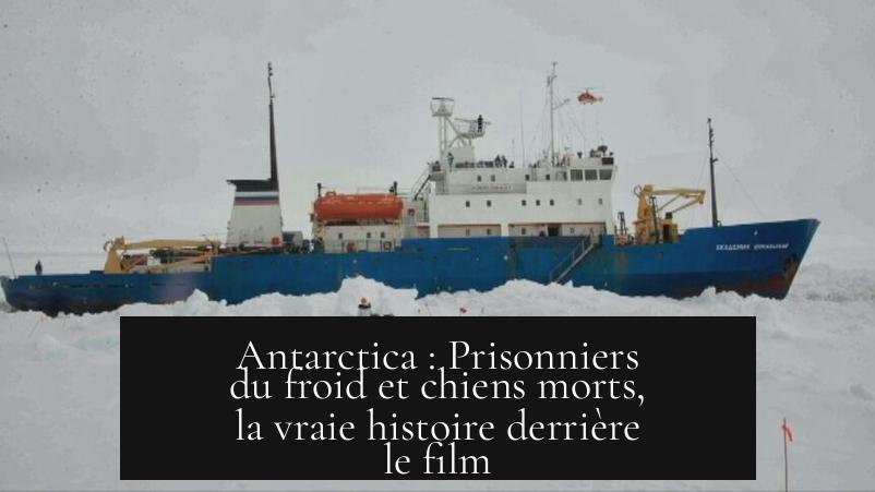 Antarctica : Prisonniers du froid et chiens morts, la vraie histoire derrière le film