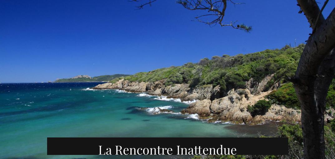La Rencontre Inattendue