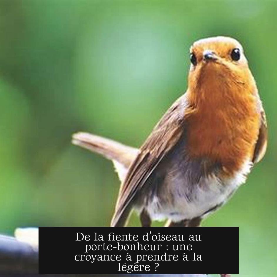 De la fiente d’oiseau au porte-bonheur : une croyance à prendre à la légère ?