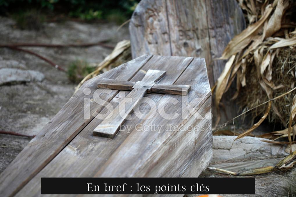 En bref : les points clés