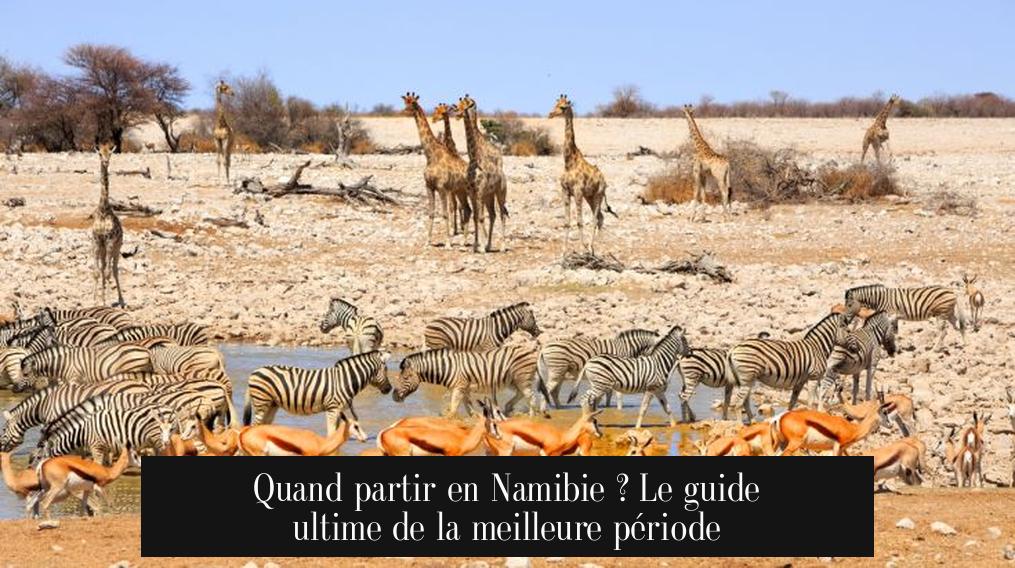 Quand partir en Namibie ? Le guide ultime de la meilleure période