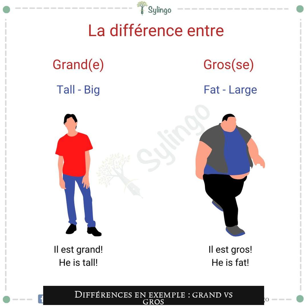 Différences en exemple : grand vs gros