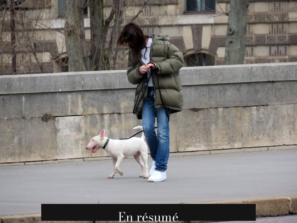 En résumé