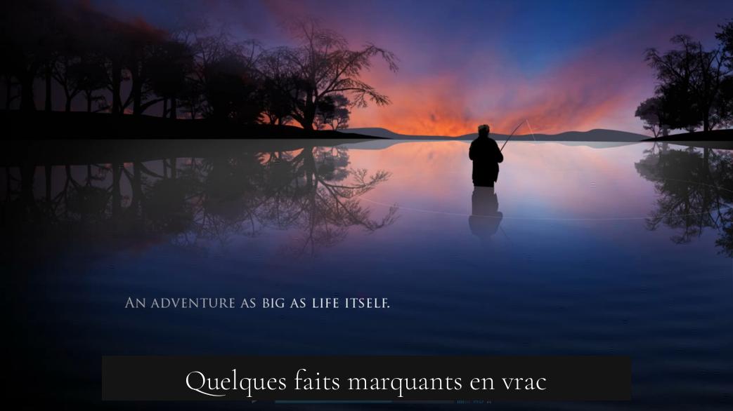 Quelques faits marquants en vrac