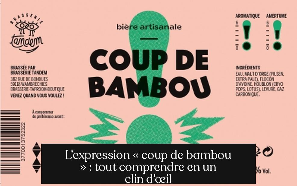 L’expression « coup de bambou » : tout comprendre en un clin d’œil