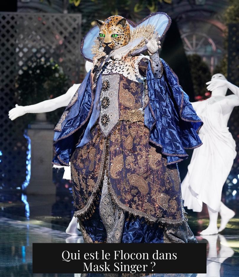 Qui est le Flocon dans Mask Singer ?