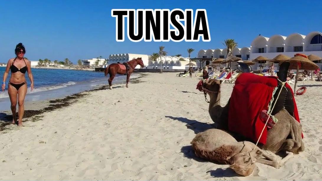 La Tunisie ne serait pas ce qu’elle est sans ses oasis verdoyantes, parsemées de cascades et de palmeraies apaisantes, véritables havres de paix dans le décor minéral alentour. Explorer ces lieux, c’est découvrir la magie des « roses des sables » et plonger dans une aventure humaine et naturelle d’exception.