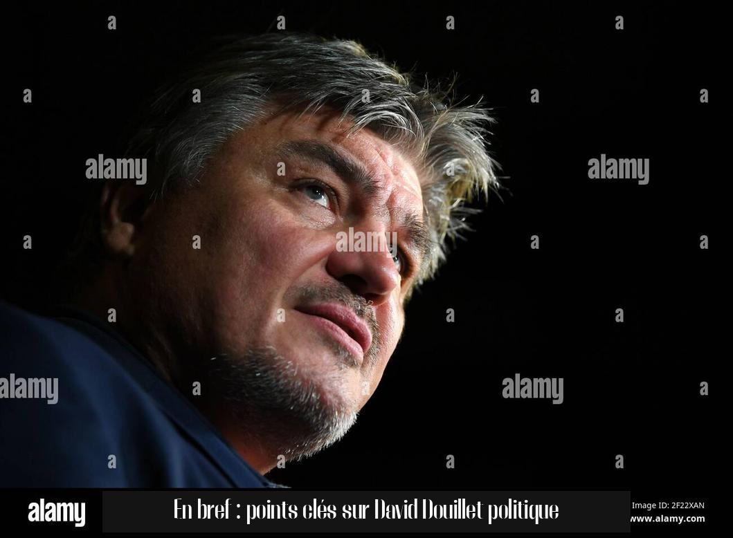 En bref : points clés sur David Douillet politique