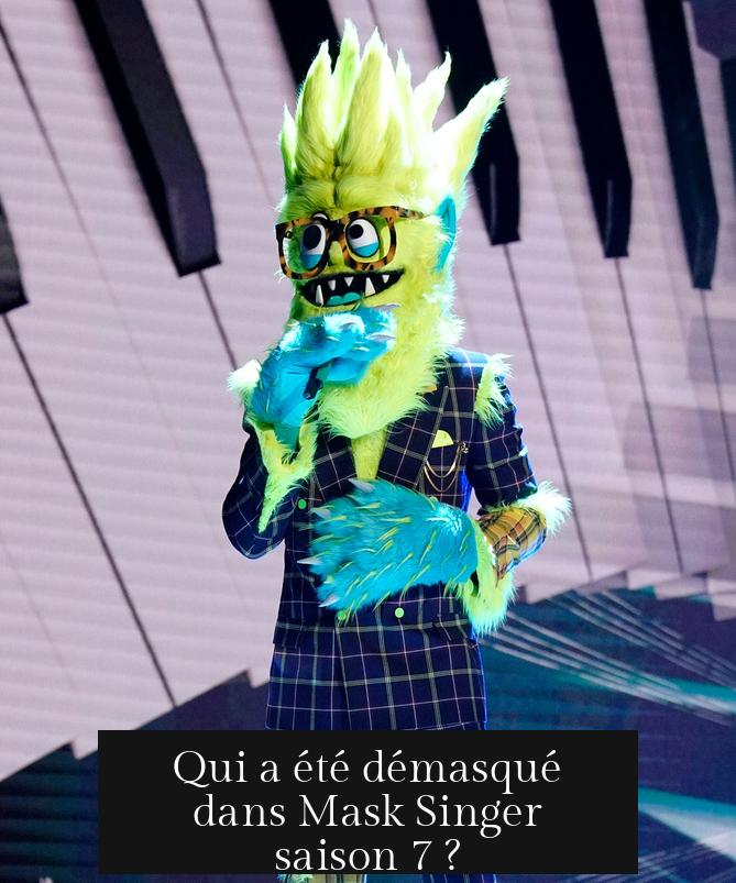 Qui a été démasqué dans Mask Singer saison 7 ?