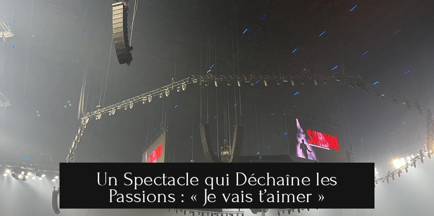 Un Spectacle qui Déchaîne les Passions : « Je vais t’aimer »