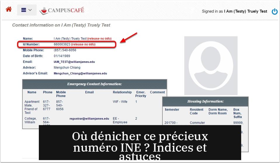 Où dénicher ce précieux numéro INE ? Indices et astuces