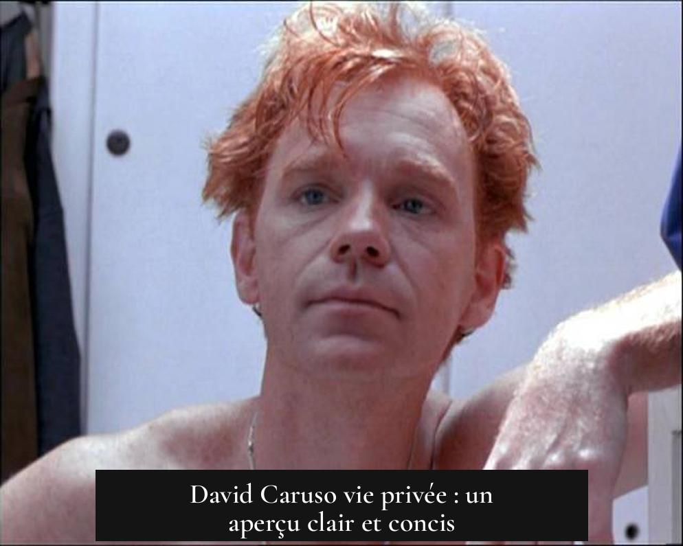 David Caruso vie privée : un aperçu clair et concis