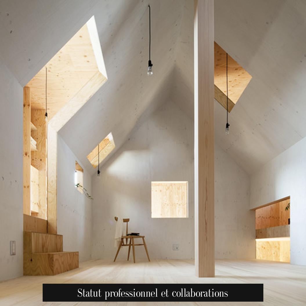 Statut professionnel et collaborations