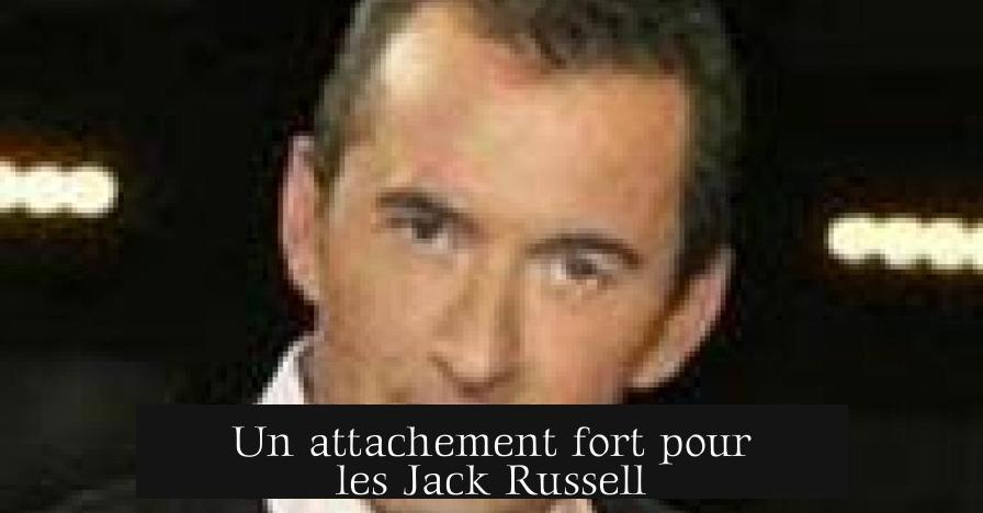 Un attachement fort pour les Jack Russell