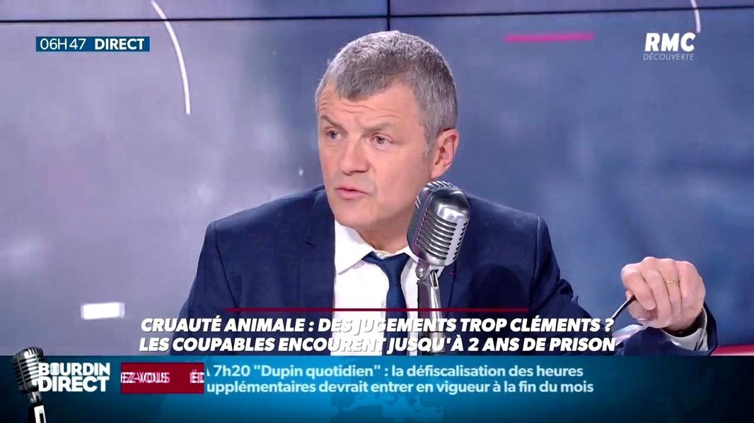 Au-delà de la sphère privée, leur vie professionnelle illustre un bel exemple de créativité conjointe. Entre l’érudit général, passionné et poète des affaires criminelles, et Clémentine, productrice érudite et issue d’une famille d’écrivains, ce duo ne manque jamais d’inspiration.