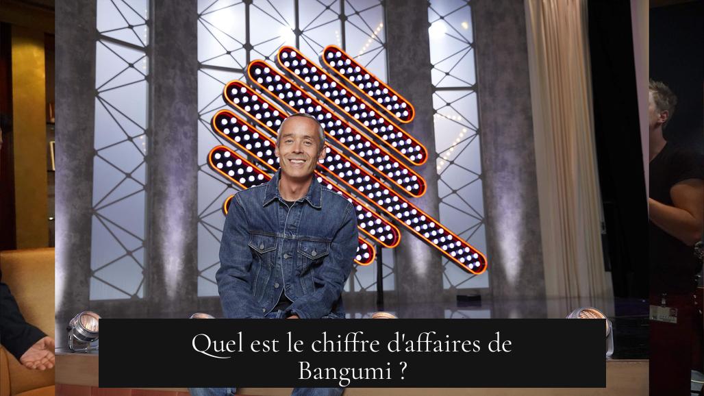 Quel est le chiffre d'affaires de Bangumi ?