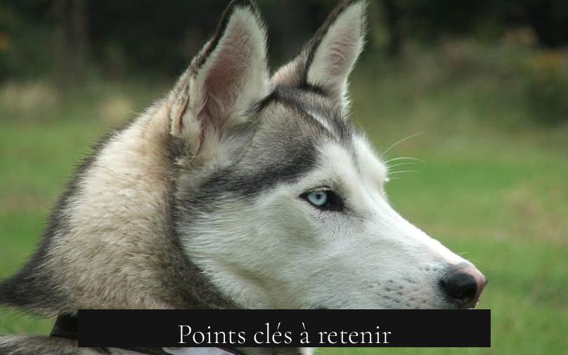Points clés à retenir