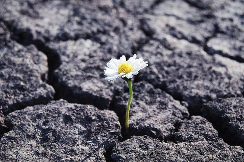 Mais le courage est sa marque de fabrique. Dans les mois qui ont suivi, elle a petit à petit avancé vers un nouveau départ. Même si des hésitations traversent encore son esprit, notamment face à une nouvelle relation amoureuse qui la rapproche de la vie après le drame, elle sait aussi respecter la mémoire de Guillaume et l’équilibre familial.