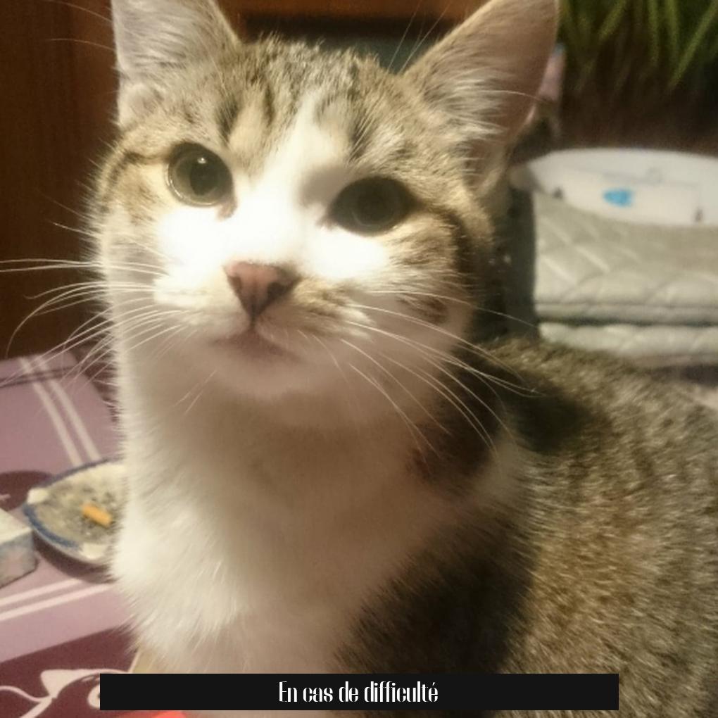 En cas de difficulté