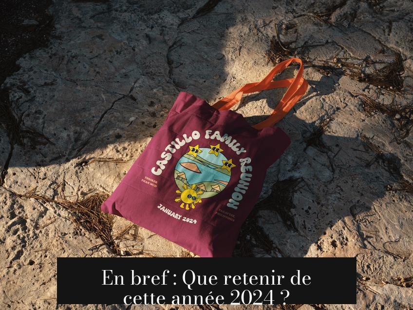 En bref : Que retenir de cette année 2024 ?