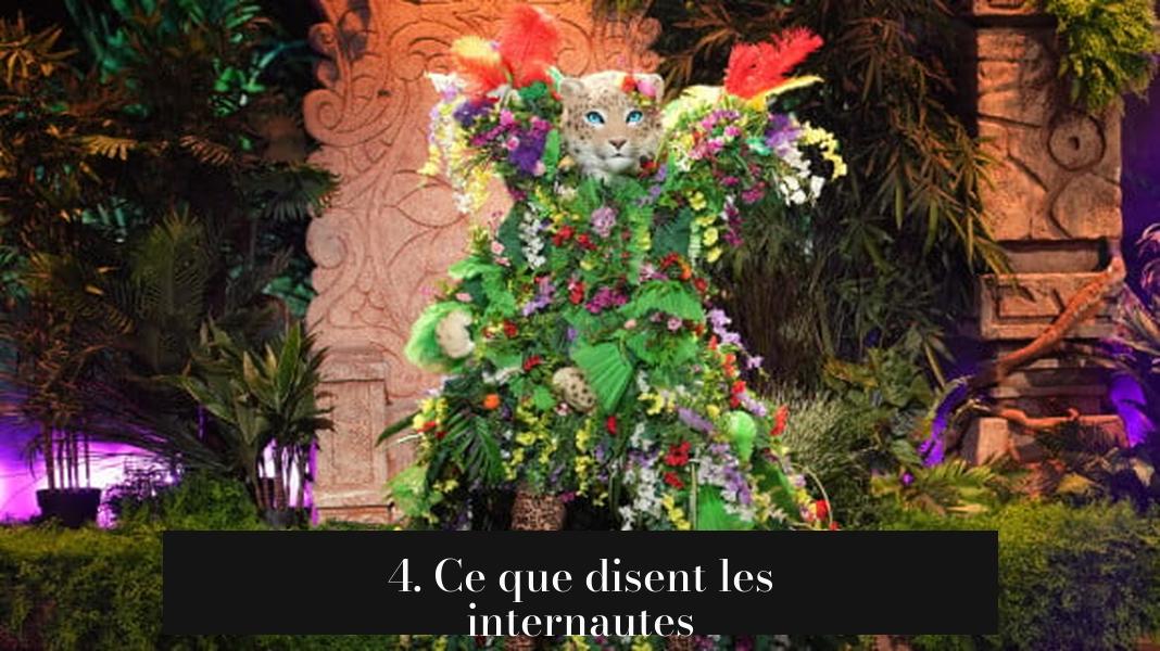4. Ce que disent les internautes
