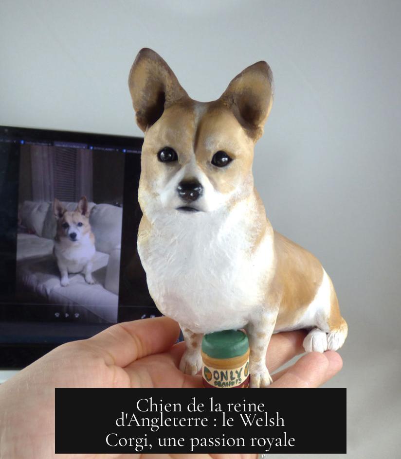 Chien de la reine d'Angleterre : le Welsh Corgi, une passion royale