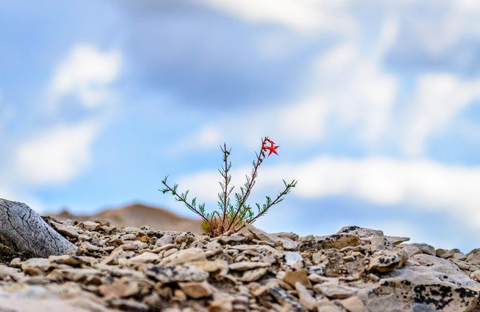 Points clés à retenir