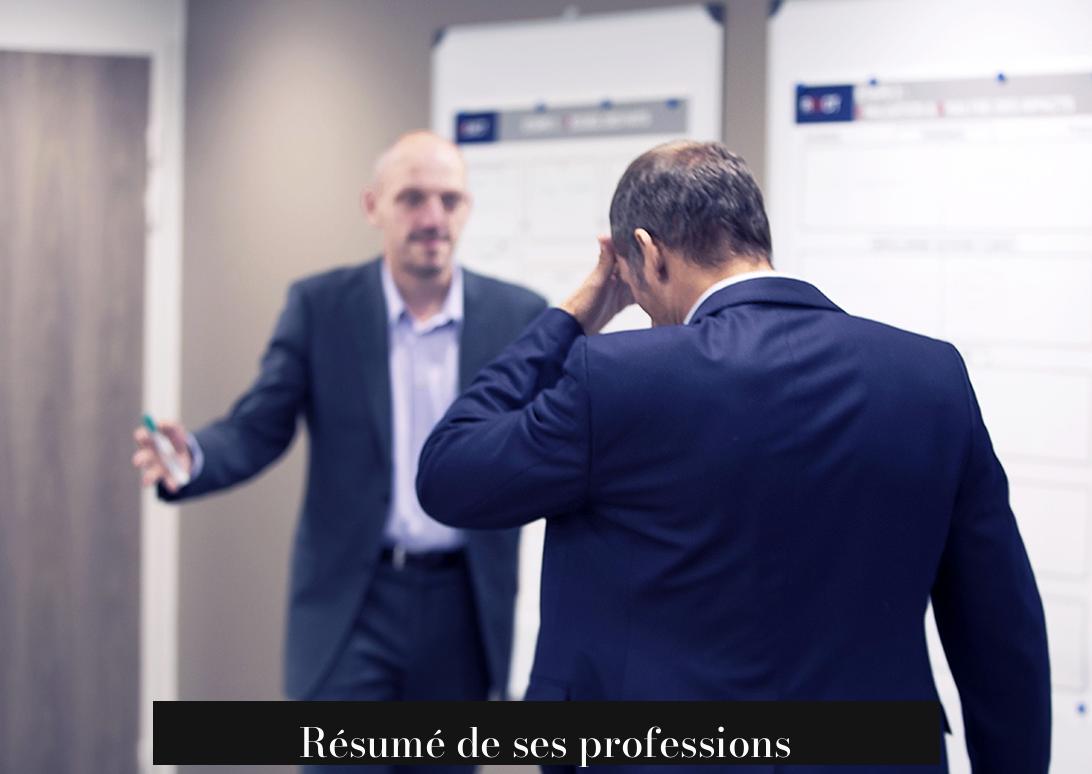 Résumé de ses professions