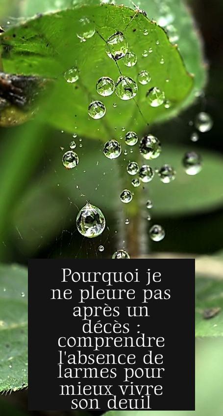 Pourquoi je ne pleure pas après un décès : comprendre l'absence de larmes pour mieux vivre son deuil