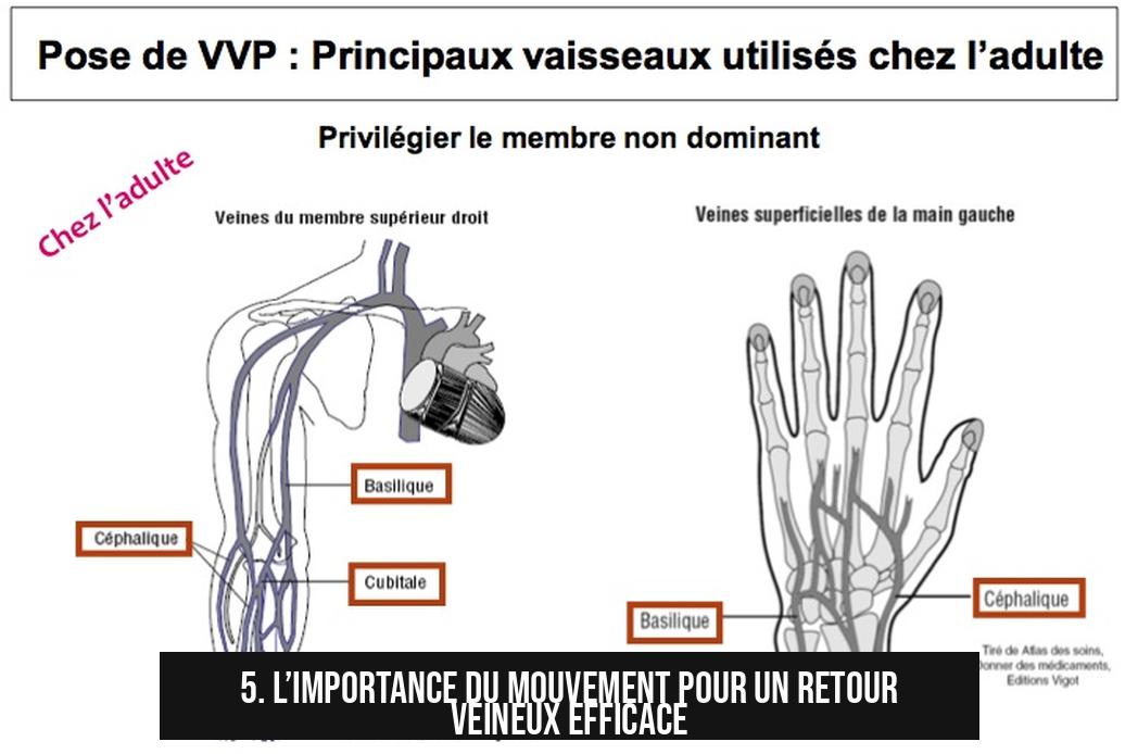5. L’importance du mouvement pour un retour veineux efficace