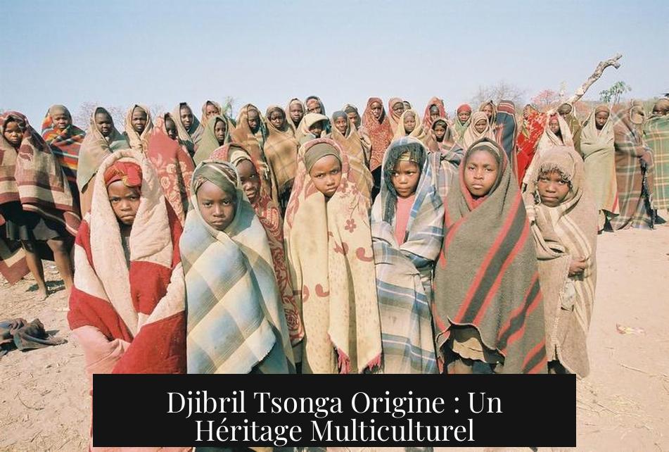 Djibril Tsonga Origine : Un Héritage Multiculturel