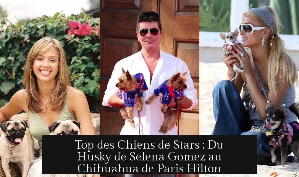 Top des Chiens de Stars : Du Husky de Selena Gomez au Chihuahua de Paris Hilton