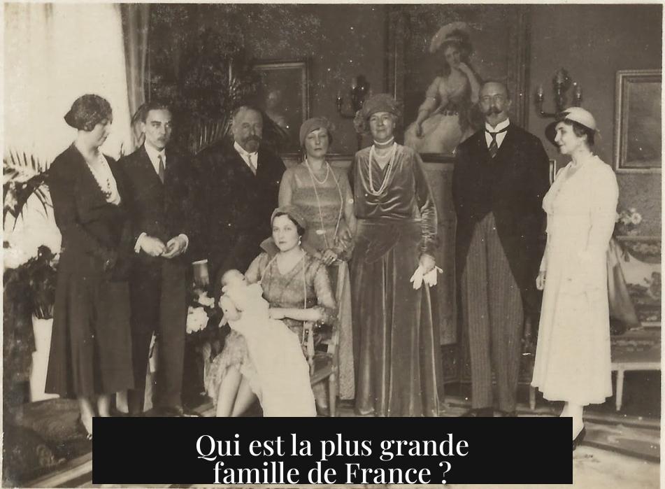 Qui est la plus grande famille de France ?