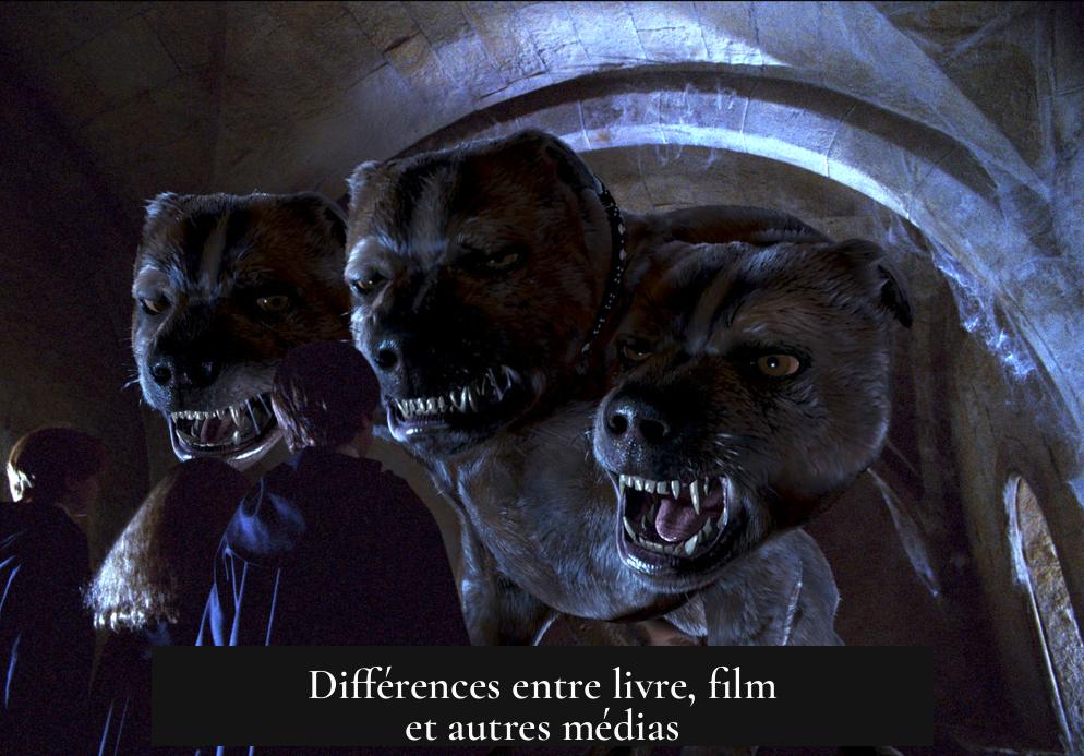 Différences entre livre, film et autres médias