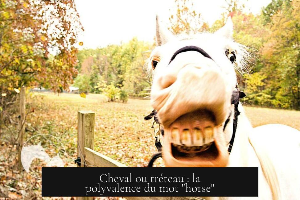 Cheval ou tréteau : la polyvalence du mot "horse"