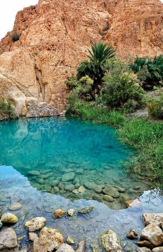 Vous vous demandez sans doute pourquoi tant de voyageurs rêvent de fouler ces terres ? Ici, la Tunisie ne se contente pas d’être belle, elle vous invite à vivre une expérience complète, mêlant détente, aventure et découvertes culturelles... tout en restant abordable.