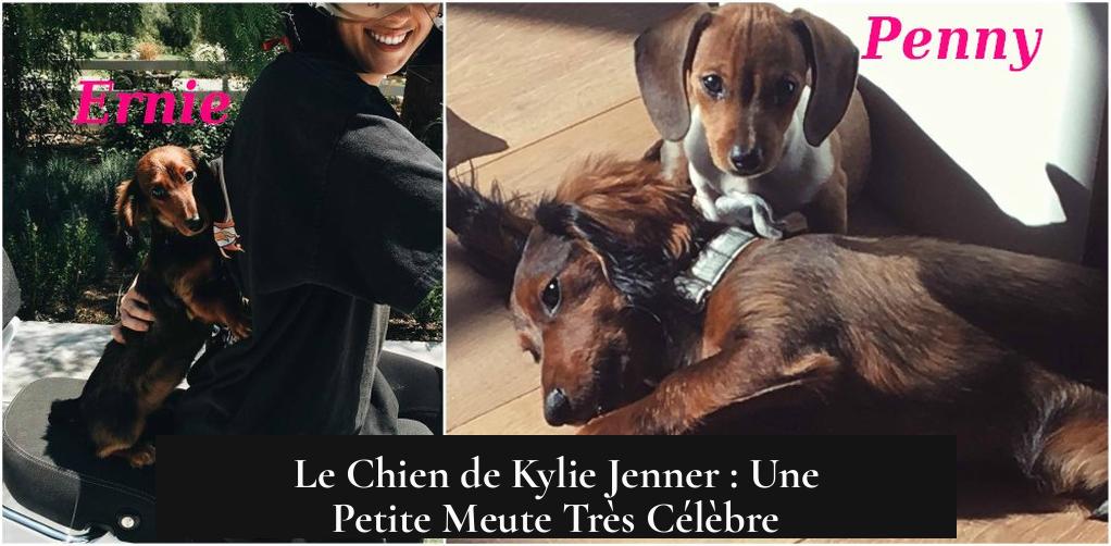 Le Chien de Kylie Jenner : Une Petite Meute Très Célèbre