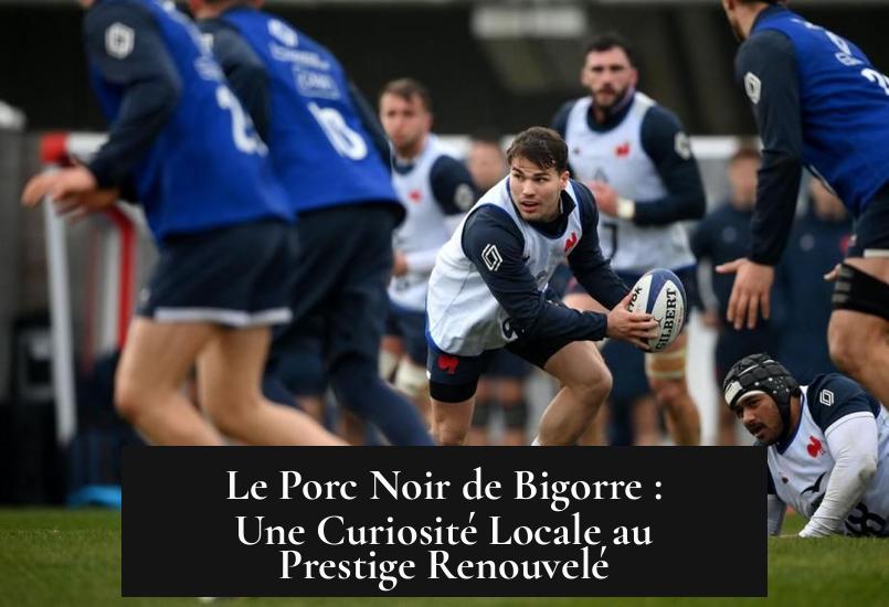 Le Porc Noir de Bigorre : Une Curiosité Locale au Prestige Renouvelé