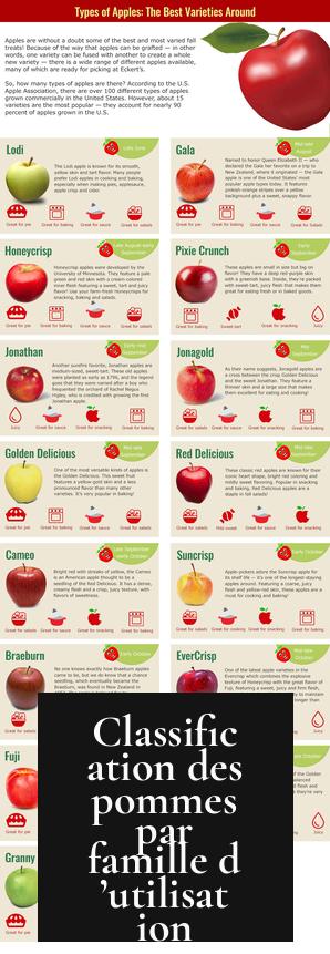 Classification des pommes par famille d’utilisation
